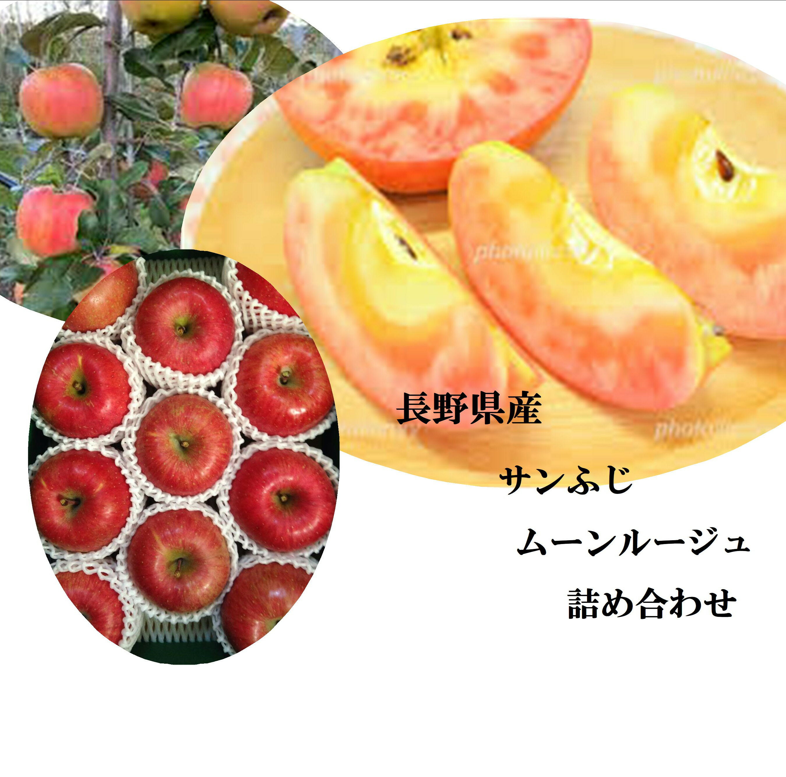 希少！！ジャム・ケーキ材料に最適！！長野県中野市産　ムーンルージュ　&　長野県上高地りんご出荷組合産　しなのサンふじのサムネイル