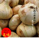 兵庫県産 2025年度産今だけ 生でも美味しい「淡路の新玉ねぎ」L~2L寸1箱(5kg)※商品仕様の個数は2Lサイズのおおよその入数です