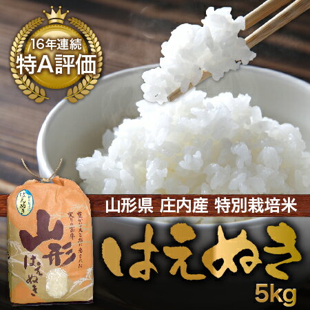 【送料無料】【山形県庄内産】特別栽培米　はえぬき5kg【smtb-k】【kb】