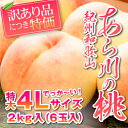 【送料無料】訳あり★紀州和歌山 あら川の桃（もも／モモ）★特大4Lサイズ2kg(6玉入)【化粧箱入】 ...