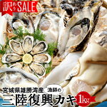牡蠣訳あり[規格外]1kg加熱用殻付き牡蛎漁師直送カキ生かき三陸宮城県産