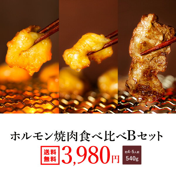 楽天ホルモン・もつ鍋 神戸 食福亭味革【送料無料】『ホルモン焼肉 Bセット540g（約4-5人前）』味付けなし　選べるタレ！あす楽 ホルモン バーベキュー BBQ 焼肉 ホルモン鍋 牛ホルモン もつ鍋 歳暮 御歳暮 ギフト 2024 冬 ギフト 祝い ホルモン焼き 贈り物 誕生日 お取り寄せ