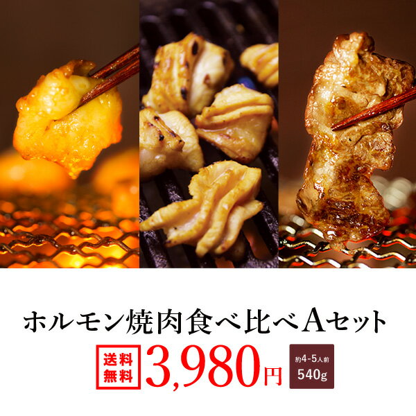 送料無料『ホルモン焼肉 Aセット500g（約4-5人前）』味付けなし　選べるタレ！あす楽 ホルモン もつ鍋 祝 ギフト 食べ物 グルメ プレゼント 贈り物 春ギフト 入学 卒業 新生活 おうちご飯 誕生日 2021 焼肉 食品 お取り寄せ