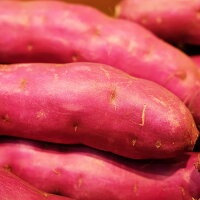 千葉県産パープルスイートロードMサイズ(18〜20本入)5kg