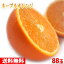 【送料無料】ピュアスペクト　ネーブルオレンジ　「BLACK」　88玉入り