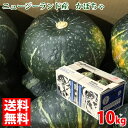【送料無料】 ニュージーランド産 かぼちゃ 10kg(4〜7玉入) 南瓜
