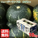 【送料無料】ニュージーランド産　かぼちゃ　10kg（5&#12316;6玉入）