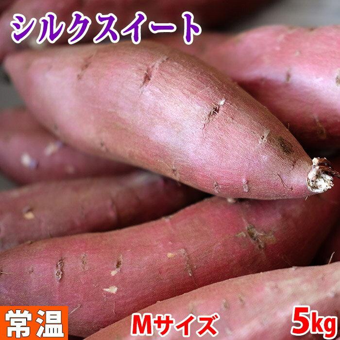 茨城県産 さつまいも シルクスイート（鹿吉）恵　Mサイズ（約20本前後入）5kg