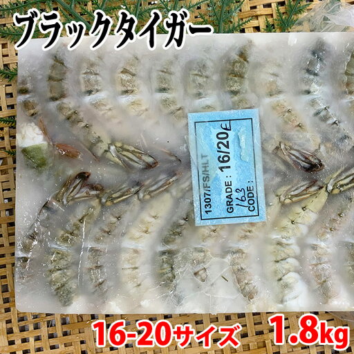 冷凍エビ(ブラックタイガー)無頭・殻つき 16-20サイズ (64〜80尾入り) 1.8kg 冷凍エビ(ブラックタイガー)無頭・殻つき 16-20サイズ (64〜80尾入り) 1.8kg