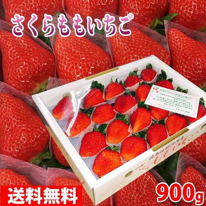 【送料無料】徳島県産さくらももいちご20〜28粒入約900g（化粧箱）