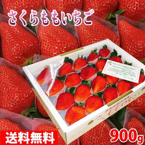 【送料無料】徳島県産　さくらももいちご　20〜28粒入　約900g（化粧箱）