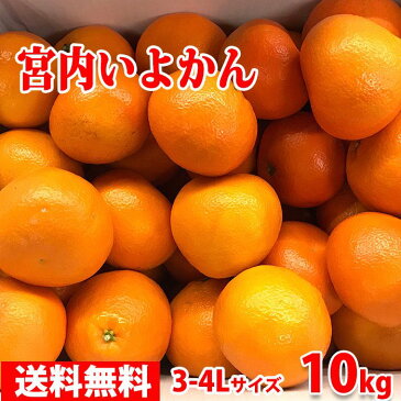 【送料無料】愛媛県産　宮内いよかん　秀　3〜4Lサイズ　9kg