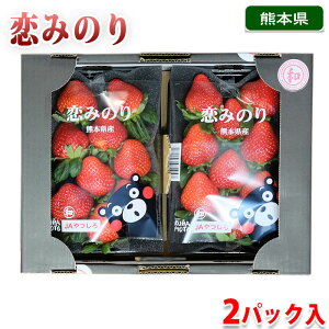 熊本県産　いちご　恋みのり　秀品　2パック セット