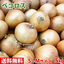【送料無料】 北海道産 ペコロス 秀品・S〜Mサイズ 5kg