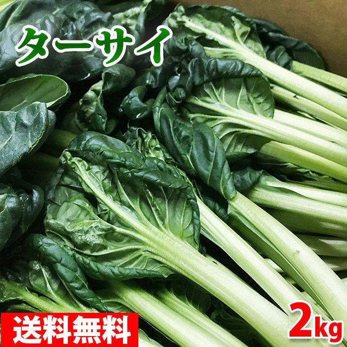 ターサイ（ターツァイ／タアサイ）　約2kg ターサイ（たあさい・タアサイ）は中華料理で主に使われておりますが、熱を加えても濃緑色が美しい野菜。 香りと味に癖がなく、サラダや鍋にも使えます。 商品詳細 商品名（名称） ターサイ（ターツァイ／タアサイ） 規格・サイズ 秀品・2Lサイズ 内容量 約2kg　12〜8株入り 産地 静岡県 販売期間 通年 発送方法 冷蔵便 同梱不可 冷蔵・冷凍の商品との同梱はできません。