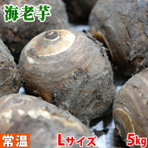 静岡県産　海老芋　秀　Mサイズ　約5kg（20〜25本入）