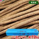 【送料無料】 青森県産他 ごぼう 秀品 約10kg (箱)