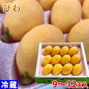 びわ 長崎県産　びわ　秀品　9玉～12玉入り（化粧箱）