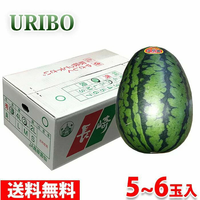 【送料無料】 長崎県産すいか　URIBO （うり坊）　秀品　