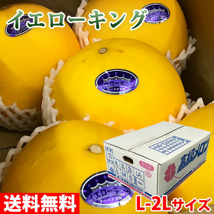 【送料無料】愛知県産　メロン　イエローキング　秀品　L〜2Lサイズ　5〜6玉入り （箱）