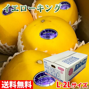 【送料無料】愛知県産　メロン　イエローキング　秀品　L〜2Lサイズ　5〜6玉入り （箱）