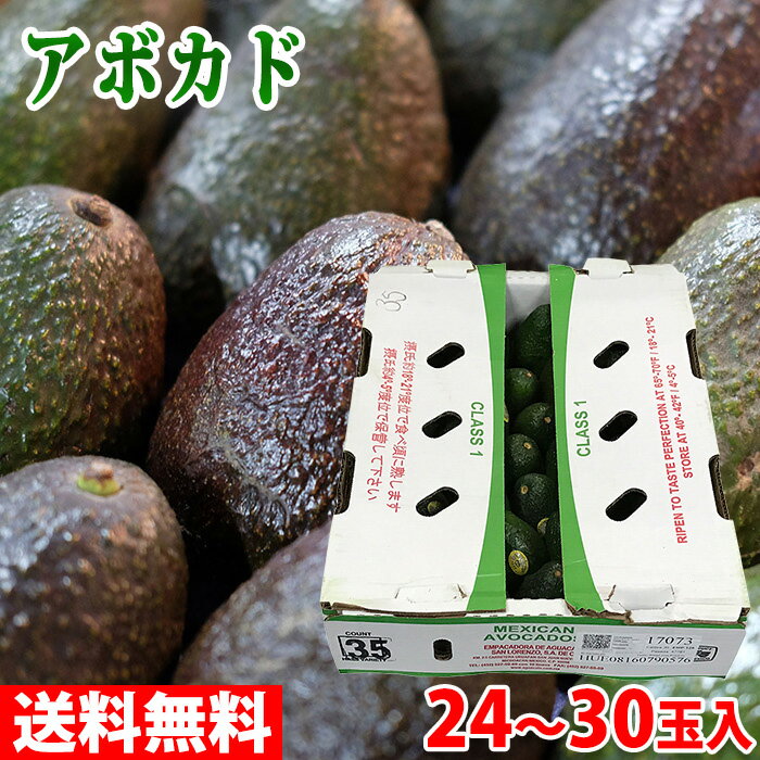 メキシコ産　アボカド　24〜30玉入り アボカド（Avocado）の原産はメキシコ、中央アメリカ。 特に メキシコは世界最大のアボカド生産・輸出国です。 日本に輸入されてくる多くはハス(HASS)品種で年間を通じて流通しています。 商品詳細...