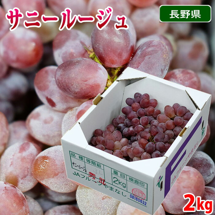 長野県産他　ぶどう　サニールージュ　秀品　2kg （箱）のサムネイル