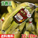 【送料無料】フィリピン産 バナナ 甘熟王(ハイランド) 22〜27房入り/箱