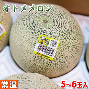 【送料無料】茨城県産　オトメメロン 秀品　5〜6玉入 （箱）