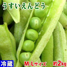 和歌山県産　うすいえんどう　秀品　M～Lサイズ　約2kg（箱）