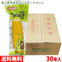 【送料無料】 北海道産 とうもろこし 軸付スイートコーン (真空パック) L〜2Lサイズ 30本入り (箱)