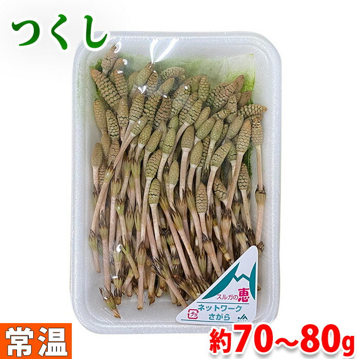 徳島県産他　つくし　約70〜80g前後　パック