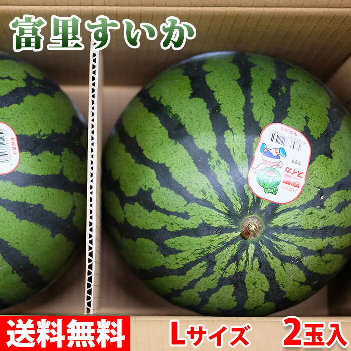 【送料無料】千葉県産富里すいかLサイズ2玉入り（約7kg）