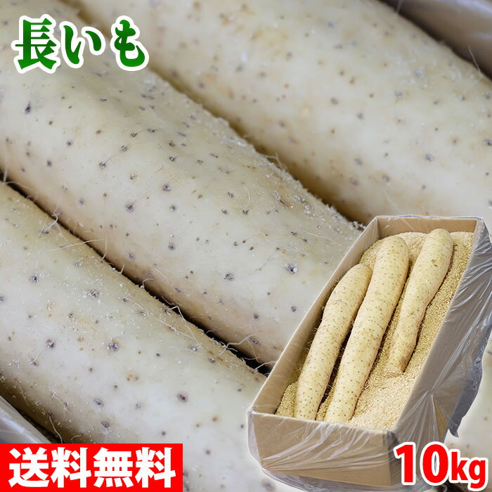 【送料無料】 北海道産 長芋 (長いも) L〜3Lサイズ (9〜15本入) 10kg