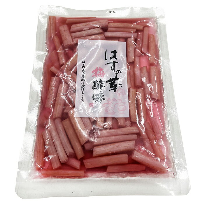 【送料無料】 穂高観光食品　はすの芽　梅酢味　150g×5パック セット 2