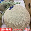 【送料無料】熊本県産アールスメロン 2Lサイズ 1玉【化粧箱入り】