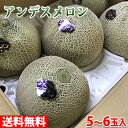 【送料無料】熊本県産 アンデスメ...