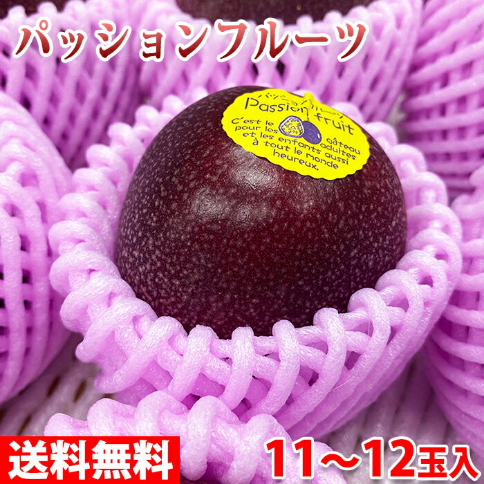 【送料無料】 沖縄県産　津嘉山　パッションフルーツ　秀品　M〜Lサイズ　11〜12玉入 （化粧箱）