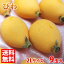 【送料無料】沖縄県産 びわ 2Lサイズ 秀品 9玉入り(化粧箱)