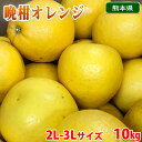 【送料無料】 熊本県産 晩柑オレンジ （ジューシーオレンジ） 秀品 2L〜3Lサイズ 10kg （箱） 国産 みかん