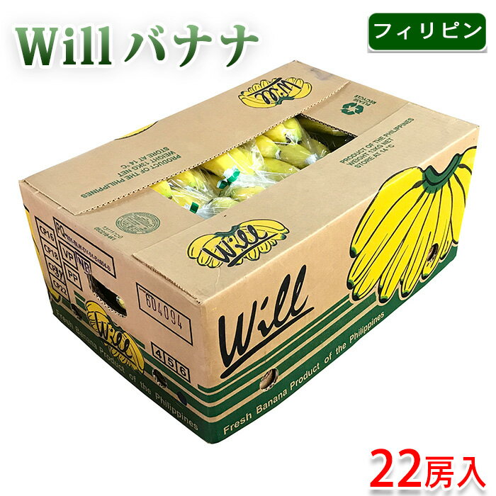 【送料無料】 フィリピン産　バナナ　Will （ローランド） 22房入り （箱）