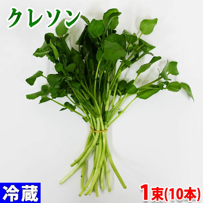 和歌山県産 クレソン 秀品 1束10本（約10g）