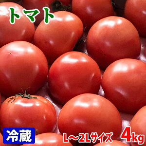 甘くて濃厚！新鮮で美味しい大玉トマトのおすすめは？