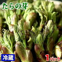 秋田県産 タラの芽 Lサイズ 50gパック...
