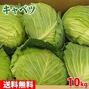 【送料無料】 愛知県産　キャベツ　6～9玉入り　10kg