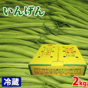 鹿児島県産　いんげん　S〜Mサイズ　約2kg（箱） さやいんげんは、和洋中問わず、炒め物や煮物などの料理に利用される緑黄色野菜です。 鮮やかな色合いで栄養価も高く、年間を通してほぼ流通している人気野菜の一つ。 ※入荷状況により北海道産など産地を変更させていただく場合がございます。あらかじめご了承ください。 商品詳細 商品名（名称） いんげん 規格・サイズ S〜Mサイズ 内容量 約2kg 産地 鹿児島県 販売期間 11月-6月 発送方法 冷蔵便 同梱不可 常温・冷凍の商品との同梱はできません。