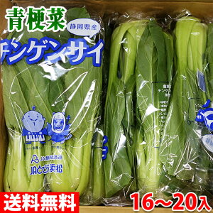 【送料無料】静岡県産　青梗菜（チンゲンサイ）　Lサイズ　約2kg／箱（16～20入）