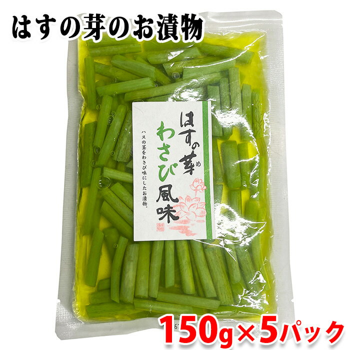 【送料無料】 穂高観光食品　はすの芽　わさび風味　150g×