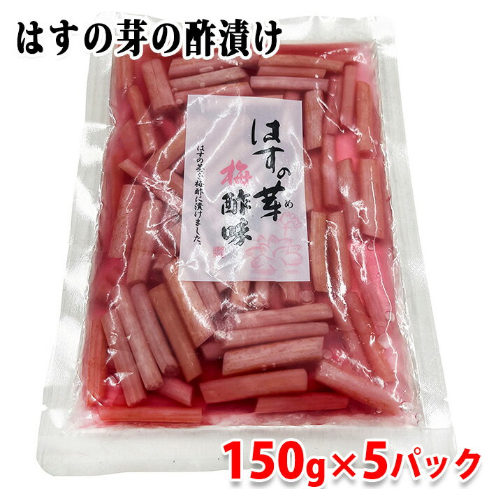 【送料無料】 穂高観光食品　はすの芽　梅酢味　150g×5パック セット 1