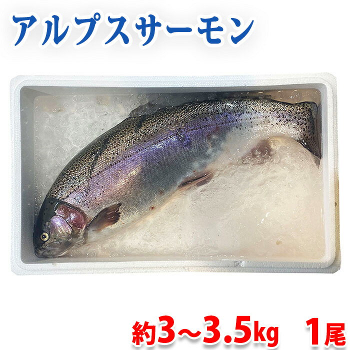 ̵ Ĺץ133.5kg塡  